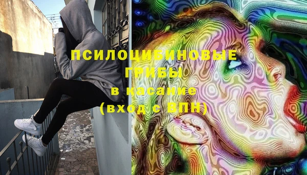 марки lsd Гусь-Хрустальный